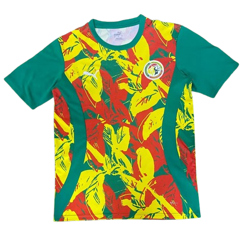 Camiseta Pre-Match | Selección Senegal 2024/25