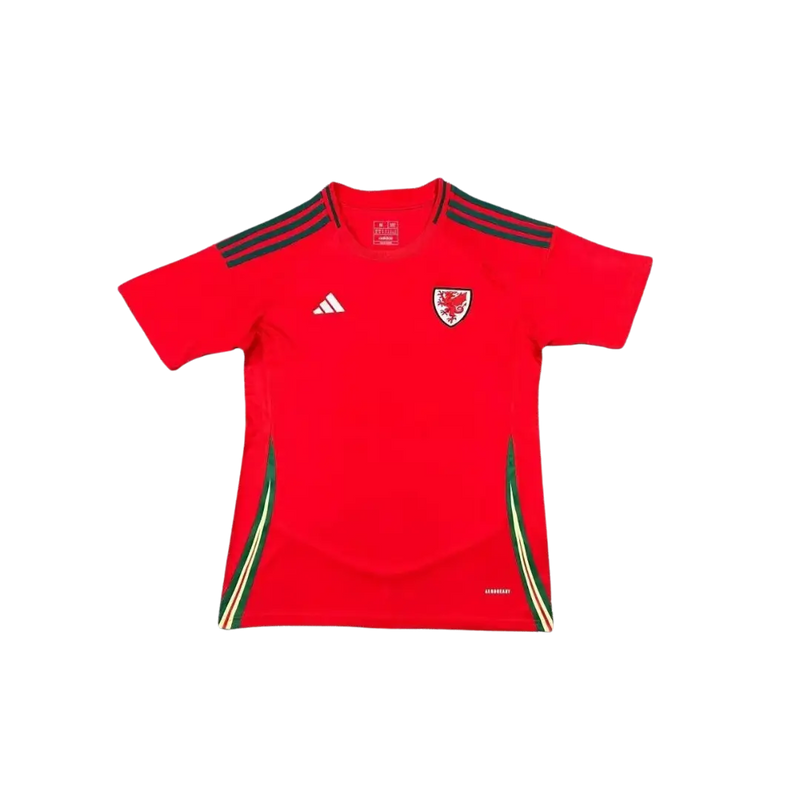Camiseta Selección Gales - Eurocopa 2024 | Local
