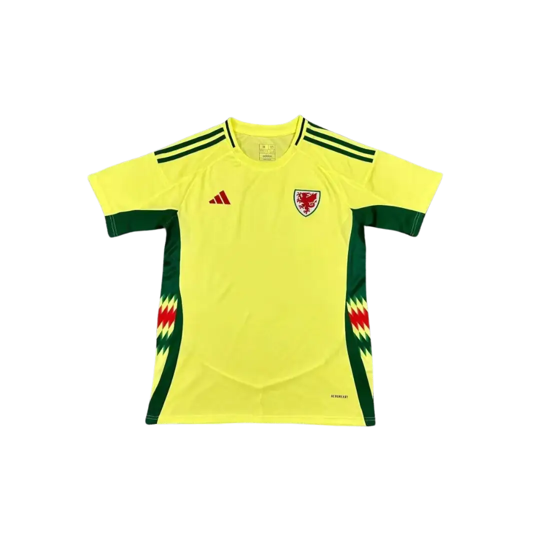 Camiseta Selección Gales - Eurocopa 2024 | Visitante