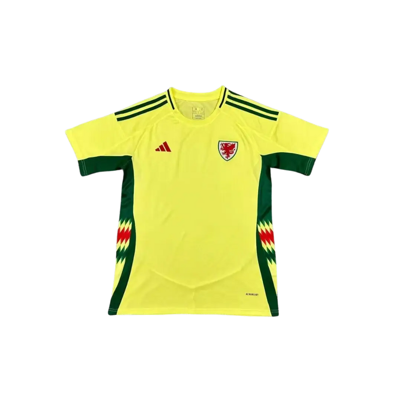 Camiseta Selección Gales - Eurocopa 2024 | Visitante