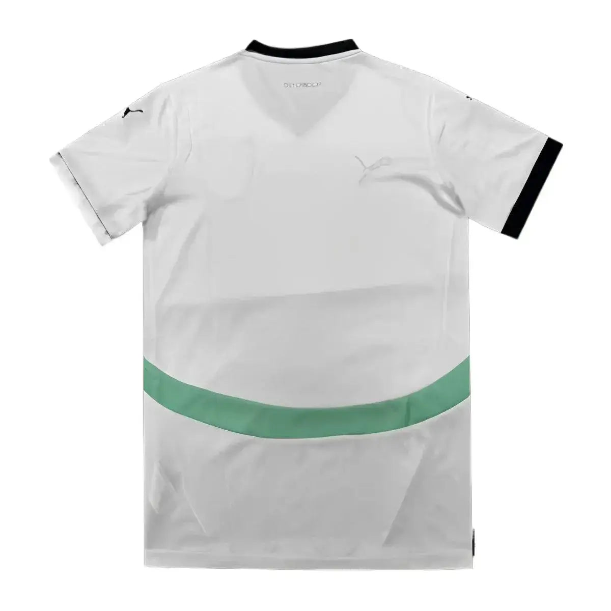 Camiseta Selección Austria Eurocopa 2024 (2)