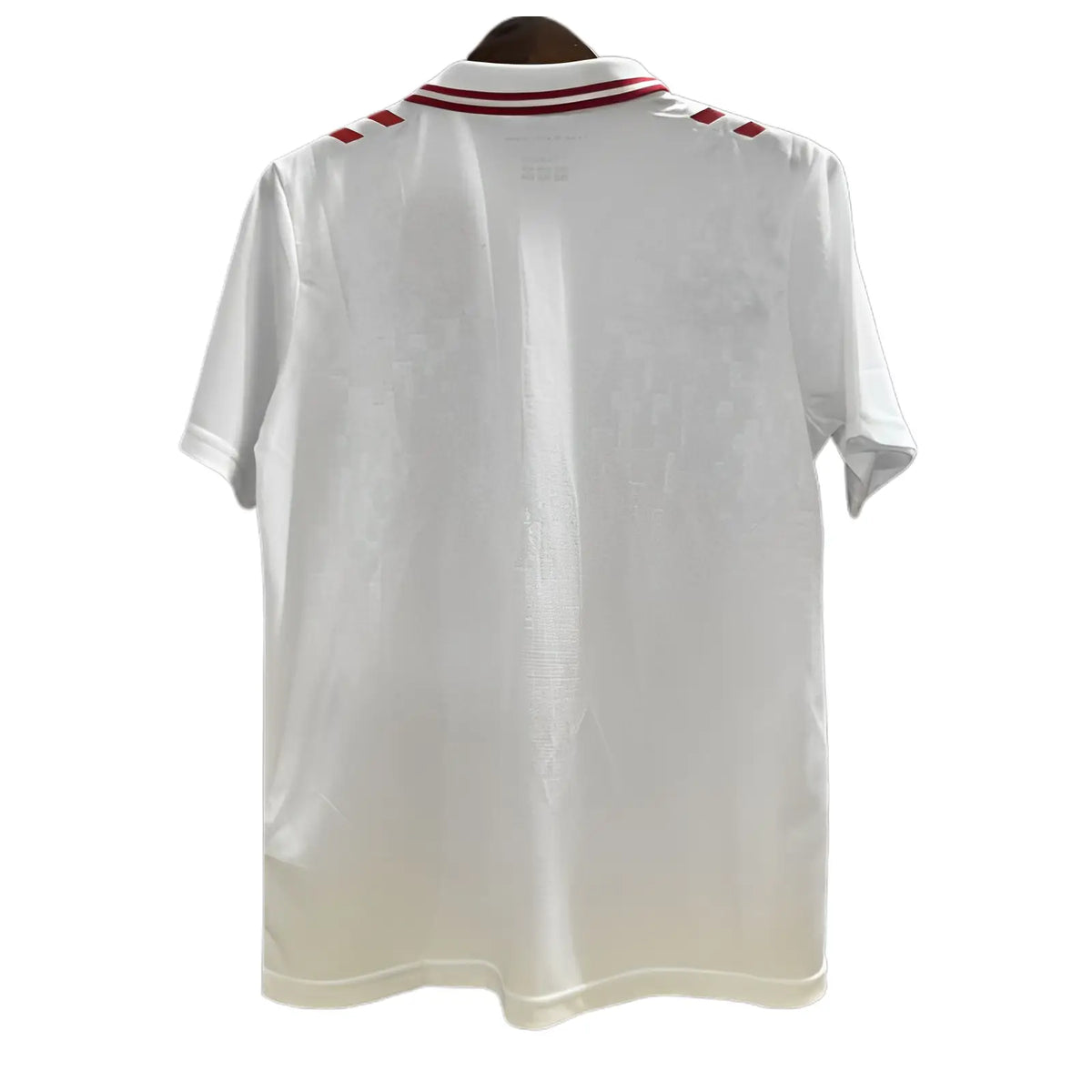 Camiseta Selección Dinamarca Eurocopa 2024 (2)