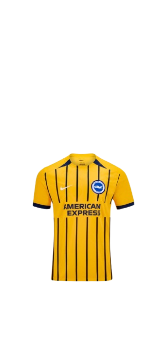 Camiseta Brighton & Hove Albion Football Club 2025/26 (3)